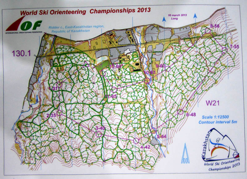 Ski WOC long, map 1 (of 3) (10/03/2013)